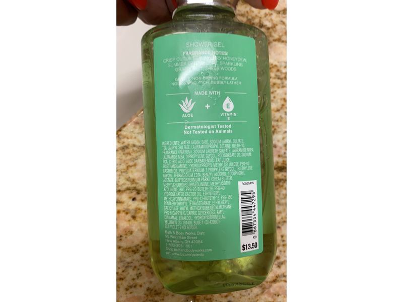 Bath & Body Works Shower Gel, Cucumber Melon Aloe + Vitamin E, 10 fl oz/295 mL