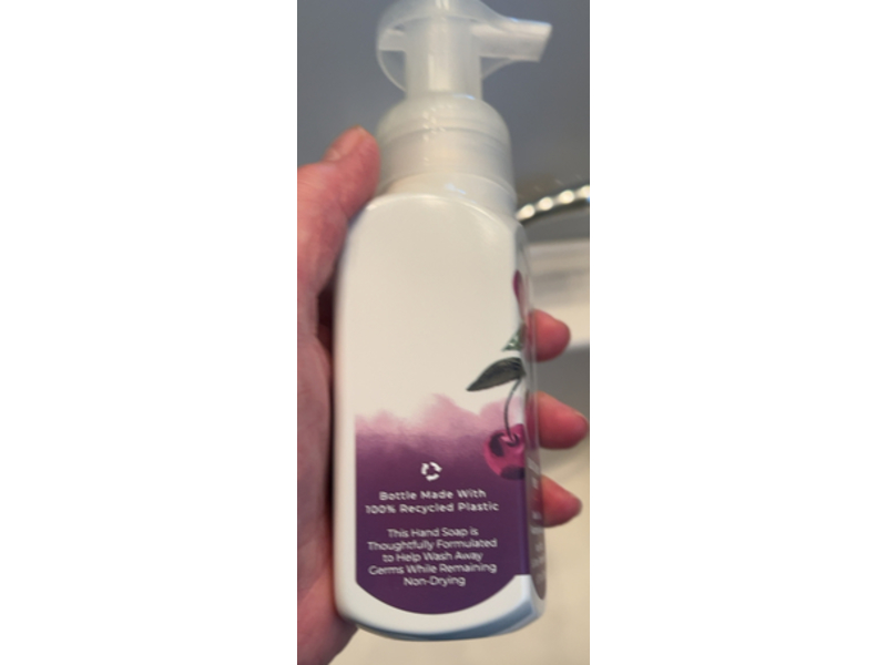 Bath & Body Works Gentle & Clean Foaming Hand Soap, Black Cherry Merlot, 8.75 fl oz/259 mL, Pack Of 2