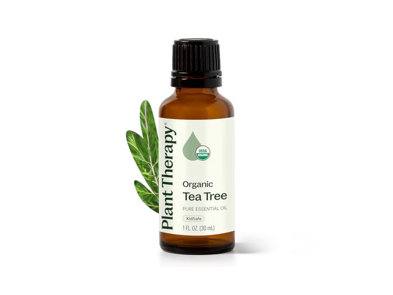 Plant Therapy Organic Tea Tree Oil, 1 fl oz/30 mL