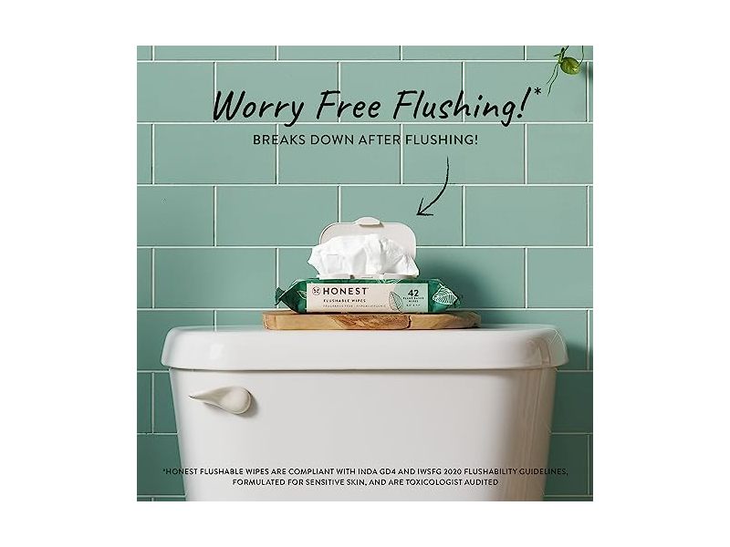 The Honest Company Plant-Based Flushable Wipes, 42 Count
