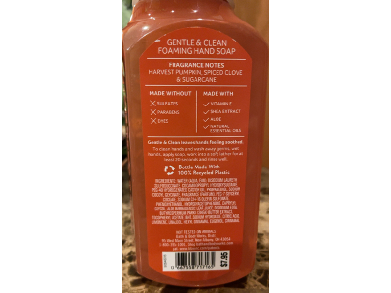 Bath & Body Works Sweet Cinnamon Pumpkin, Gentle & Clean Foaming Hand Soap 8.75 fl oz/259 mL