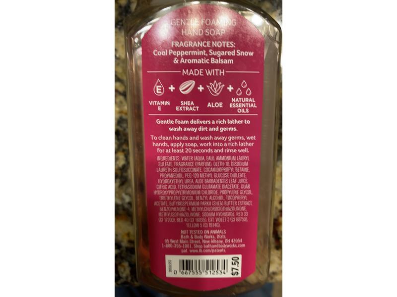Bath & Body Works Gentle Foaming Hand Soap, Twisted Peppermint, 8.75 fl oz/259 mL