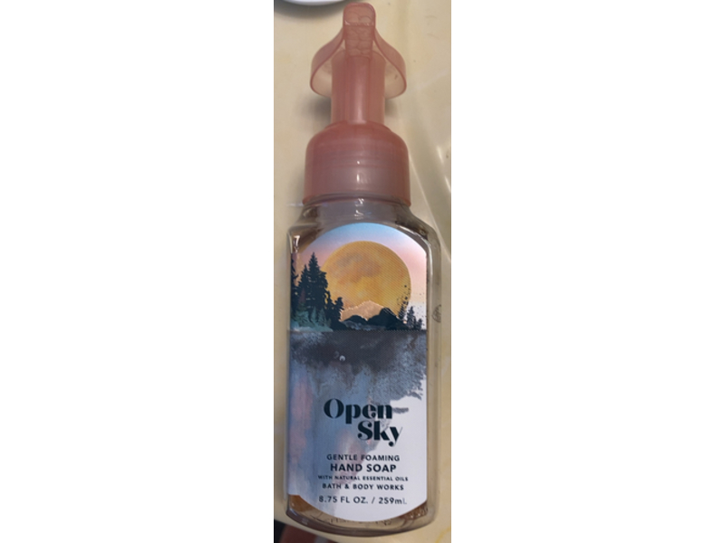 Bath & Body Works Open Sky Gentle Foaming Hand Soap, 8.75 fl oz/259 mL