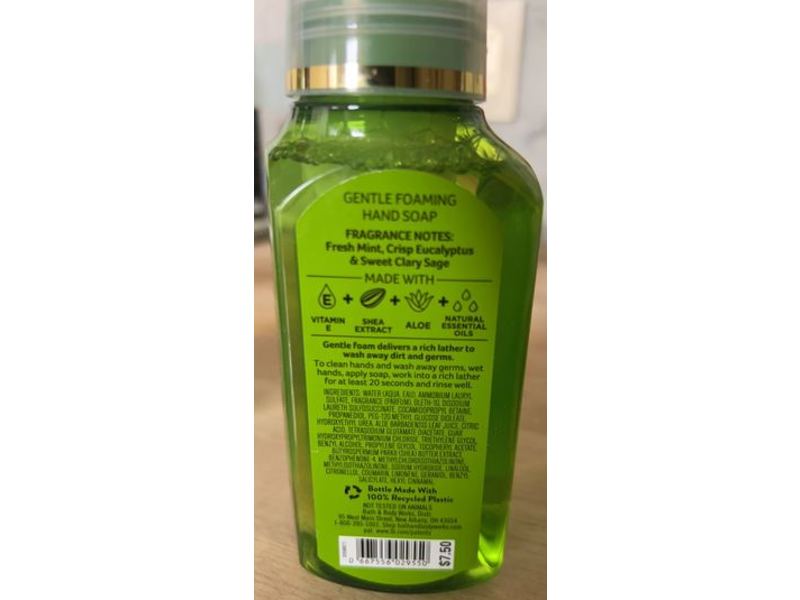 White Barn Gentle Foaming Hand Soap, Eucalyptus Mint , 8.75 fl oz/259 mL