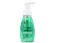 Walgreens Foaming Hand Soap, Aloe & Green Tea, 10 fl oz/296 mL - Image 2
