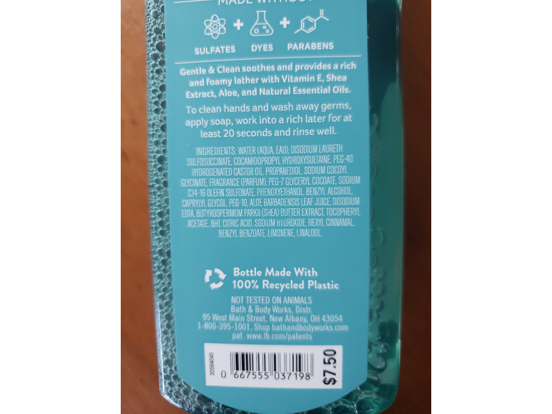 Bath & Body Works Gentle & Clean Foaming Hand Soap, Crisp Morning Air, 8.75 fl oz/259 mL