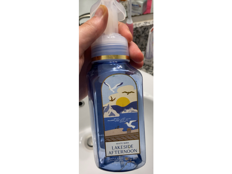 Bath & Body Works Gentle Foaming Hand Soap, Barn Lakeside Afternoon, 8.75 fl oz/259 mL