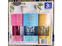 Safeguard Ultimate Care Hand Wash, Guava Pineapple, Ocean Breeze & Coconut, 15.5 fl oz/458 mL, Pack Of 3 - Image 2