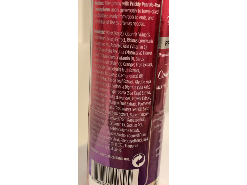 The Mane Choice Leave - In Conditioning Cream, Prickly Pear Paradise, 8 fl oz/237 mL