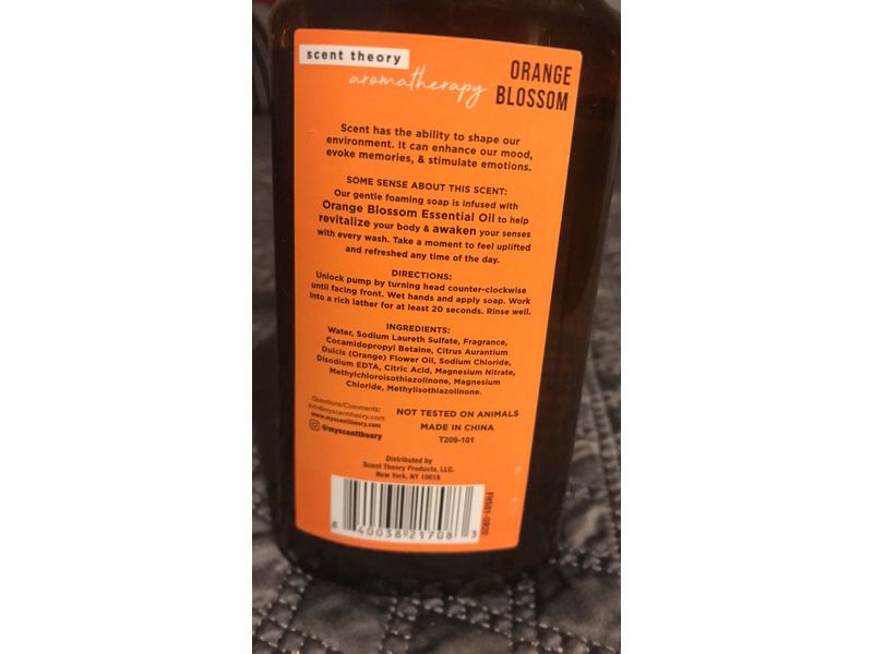 Scent Theory Aromatherapy Uplifting Foaming Gentle Hand Soap, 11 fl oz/325 mL