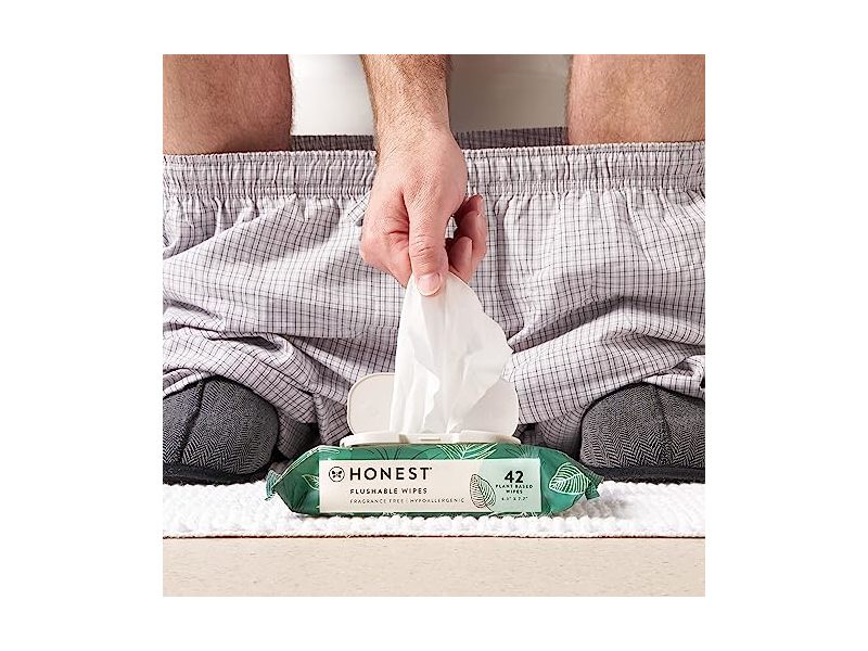 The Honest Company Plant-Based Flushable Wipes, 42 Count
