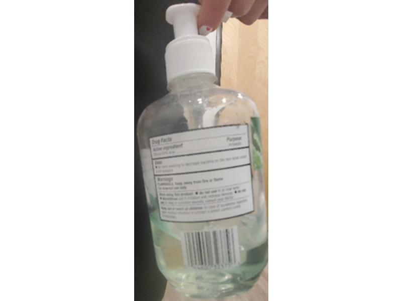 Clorox Instant Hand Sanitizer, Gbg Aloe Gel, 18 fl oz/532 mL