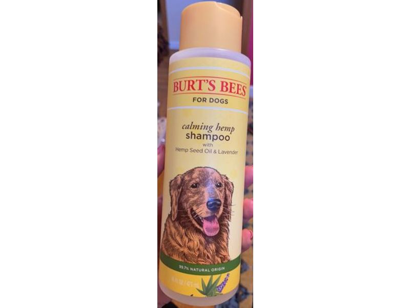 Burt's Bee Dog Shampoo, Calming Hemp Seed Oil & Lavender, 16 fl oz/473 mL
