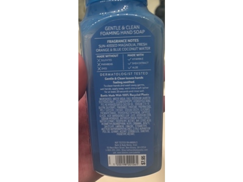 Bath & Body Works Gentle & Clean Foaming Hand Soap, Endless Weekend, 8.75 fl oz/259 mL.