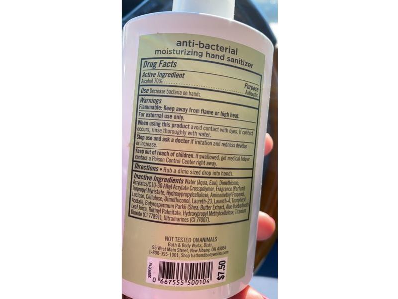 Bath & Body Works Anti-Bacterial Moisturizing Hand Sanitizer, Eucalyptus Mint, 7.6 fl oz/225 mL