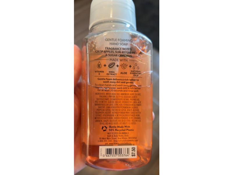 Bath & Body Works Gentle Foaming Hand Soap, Pink Apple Punch, 8.75 fl oz/259 mL