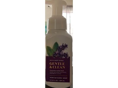 Bath Body Works Gentle Clean Foaming Hand Soap, Wild Lavender