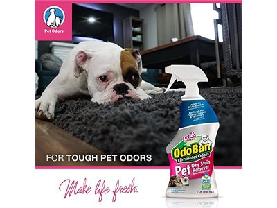 Odoban Pet Oxy Stain Remover, 32 Fl. Oz.