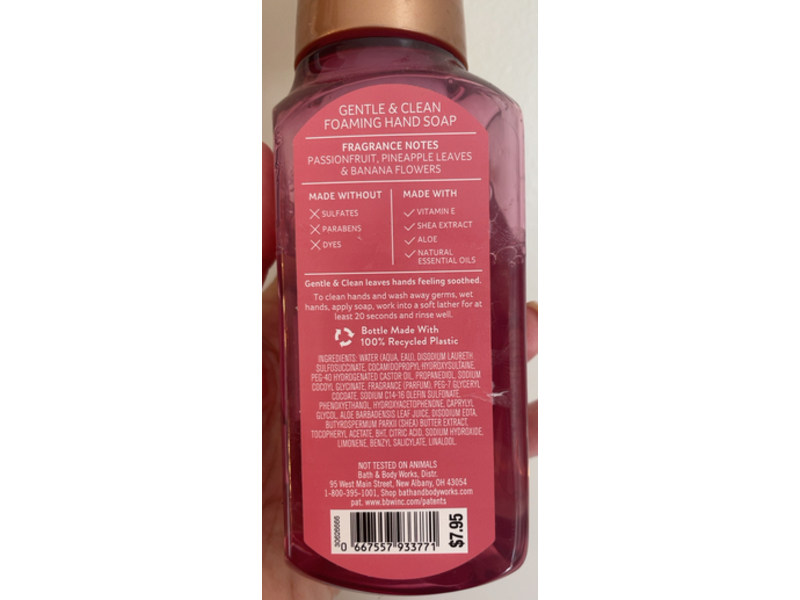 Bath & Body Works Gentle Foaming Hand Soap, Passionfruit & Banana Flower, 8.75 fl oz/259 mL, Pack Of 2
