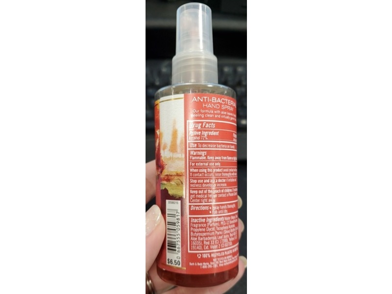 Bath & Body Works Anti-Bacterial Hand Spray, Champagne Apple & Honey, 3 fl oz/88 mL