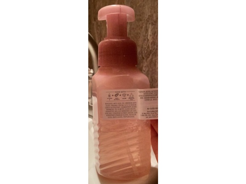 Bath & Body Works Foaming Hand Soap, Cranberry Peach, 8.75 fl oz/259 mL