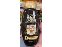 Garnier Whole Blends Ginger Recovery Strengthening Shampoo, 12.5 fl oz - thumbnail 2