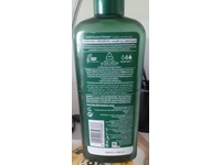 Herbal Essences Curl Hydrator Shampoo, Potent Aloe + Avocado Oil, 400 mL - Image 4