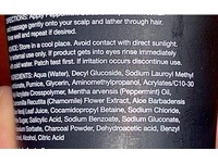 Handsome Peppermint Scrub Shampoo, 5.92 fl oz/175 mL - Image 5