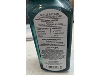 Bath & Body Works Gentle & Clean Foaming Hand Soap, Seaside Skies, 8.75 fl oz/253 mL - Image 4