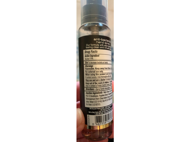 Bath & Body Works Anti-Bacterial Hand Spray, Purrfect Pumpkin, 1 fl oz/29 mL