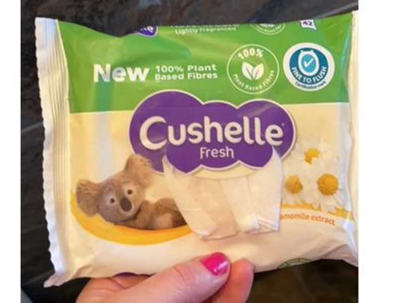 Cushelle Fresh Natural Care Moist Toilet Paper Wipes with Chamomile Extract, 42 Count