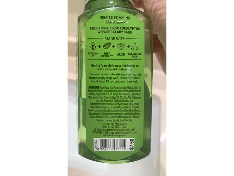 Bath & Body Works White Barn Gently Foaming Hand Soap, Eucalptus Mint, 8.75 fl oz/259 ml