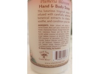 Island Soap & Candle Works Botanical Liquid Hand & Body Soap, Plumeria Blossom, 8.5 fl oz - thumbnail 3
