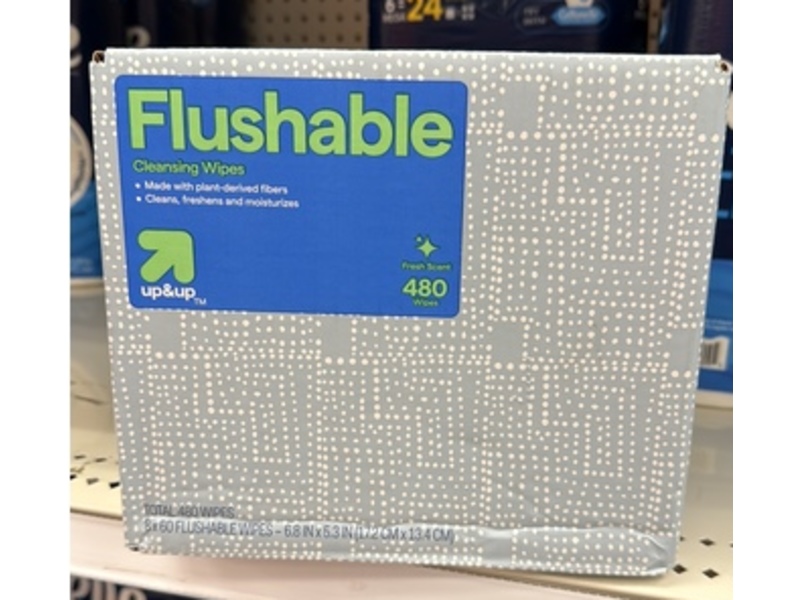 Up & Up Flushable Cleansing Wipes, Fresh, 480 Count