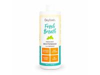 Oxyfresh Fresh Breath Mouthwash, Fresh Mint, 16 fl oz/473 mL - thumbnail 1