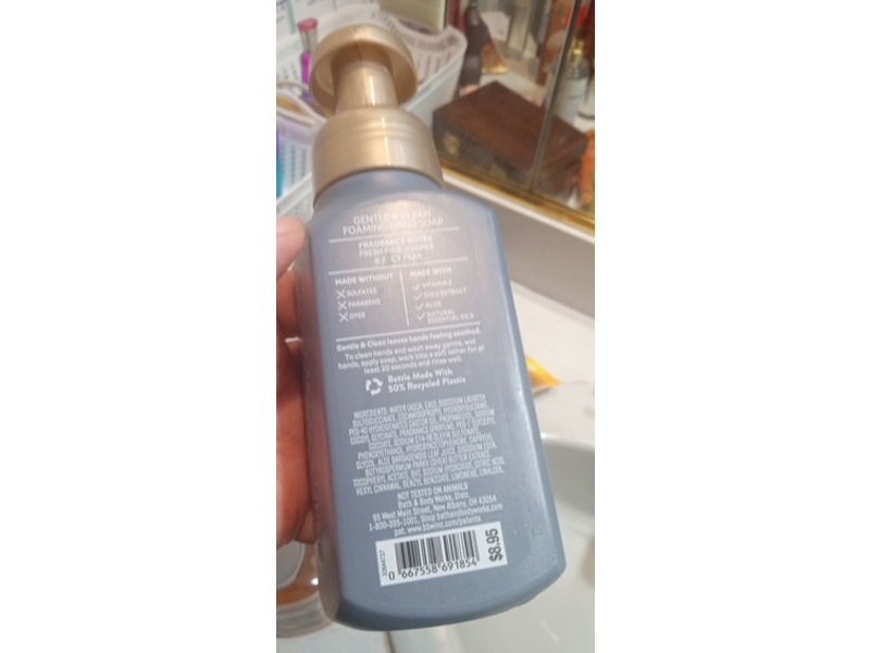 Bath & Body Works Gentle & Clean Foaming Hand Soap, Crisp Morning Air, 8.75 fl oz/259mL