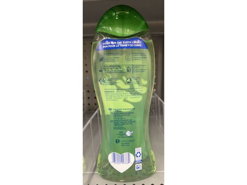 Softsoap Moisturizing Body Wash, Fresh & Eucalyptus Mint, 20 fl oz/591 mL