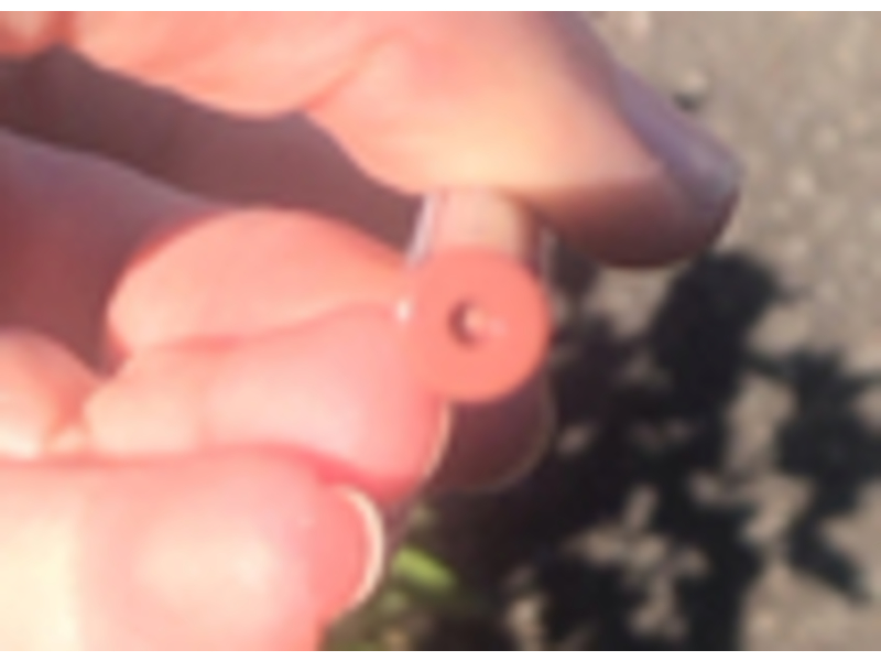 Collection Lip Definer, Nude Pink 1, 4.2 g