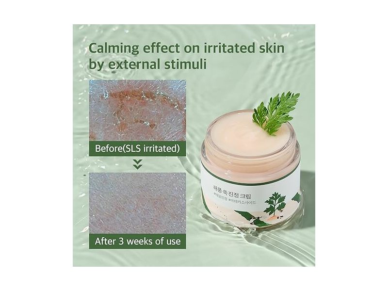 ROUND LAB Mugwort Calming Cream, (2.71fl.oz)