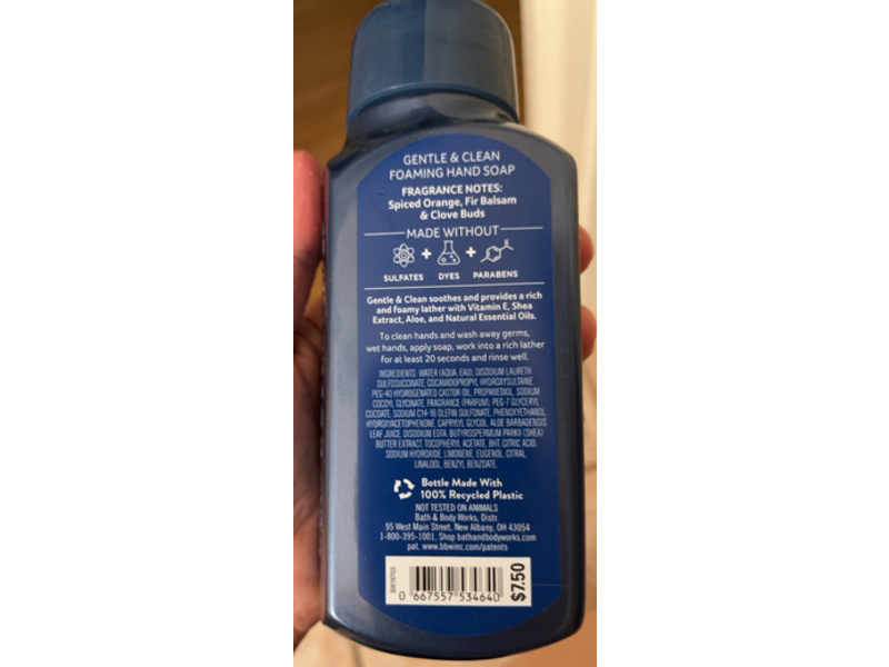 Bath & Body Works Gentle & Clean Foaming Hand Soap, Winter, 8.75 fl oz/259 mL