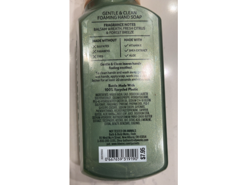 Bath & Body Works Gentle & Clean Foaming Hand Soap, Winter Citrus Wreath, 8.75 fl oz/259mL