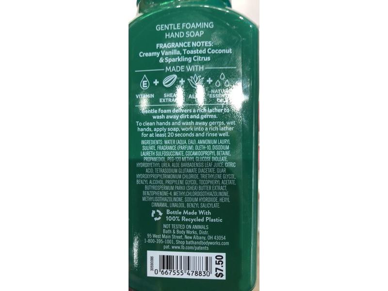 Bath & Body Works Joy To The World Gentle Foaming Hand Soap, Vanilla Snowflake, 8.75 fl oz/259 mL