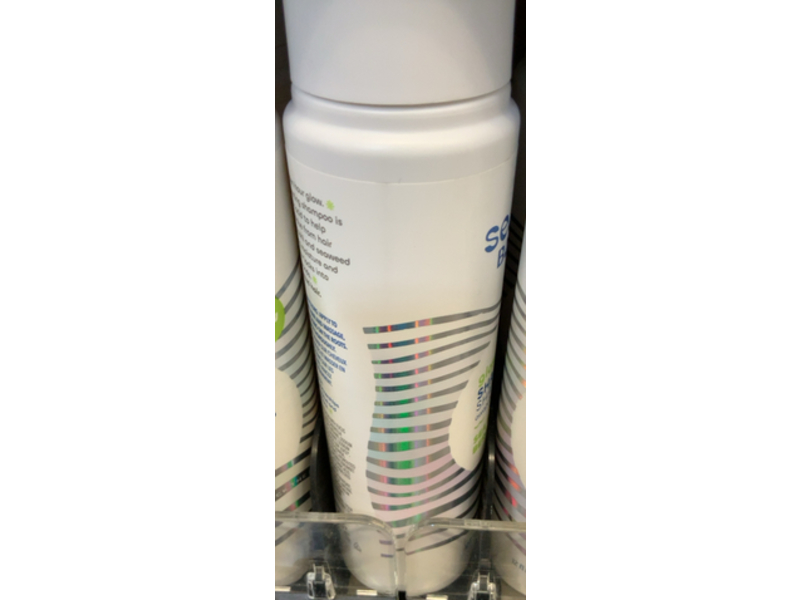 Seaweed Bath Co. Gloss Shampoo, Sea Salt Bergamot Scent, 12 fl oz/354 mL