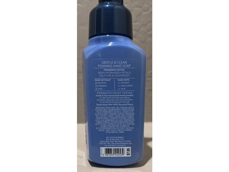 Bath & Body Works Shorline Hydrangea Gentle & Clean Foaming Hand Soap, 8.75 fl oz/259 mL