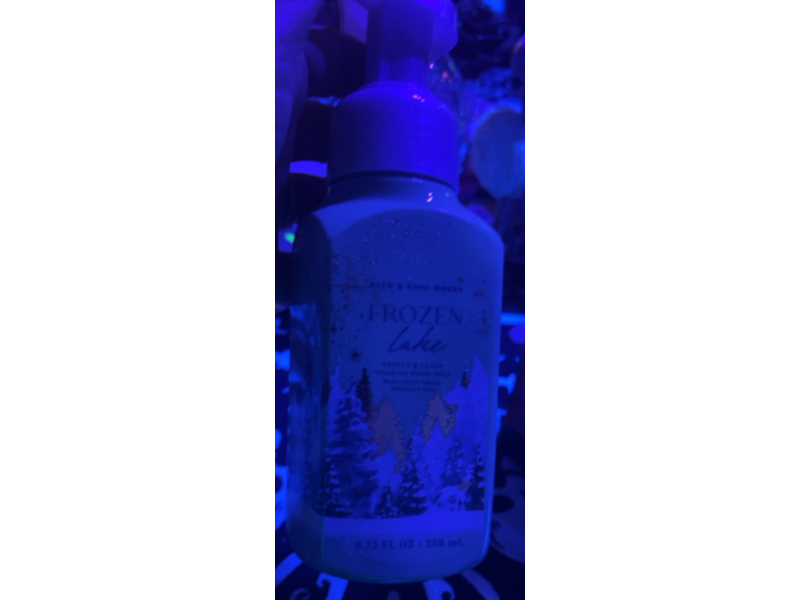 Bath & Body Works Gentle & Clean Foaming Hand Soap, Frozen Lake, 8.75 fl oz/259 mL