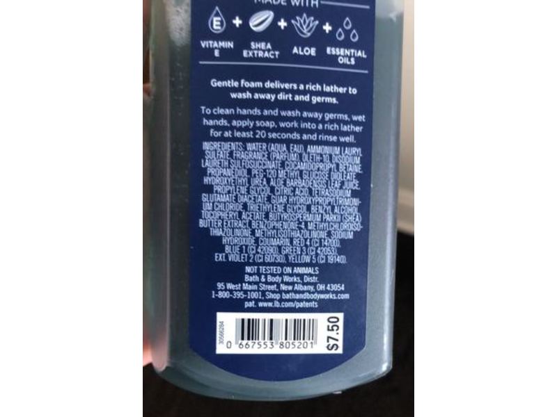 Bath & Body Works Gentle Foaming Hand Soap, Frosted Coconut Snowball, 8.75 fl oz/259 mL