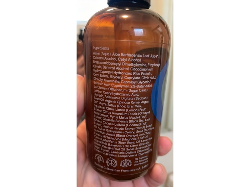 Bathing Culture Good Seed Conditioner, Nude Beach, 8 fl oz/237 mL
