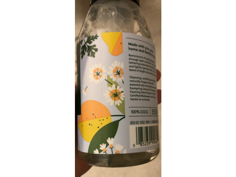 Ever Spring Foaming Hand Soap, Lemon & Coriander, 10 fl oz/295.7 mL