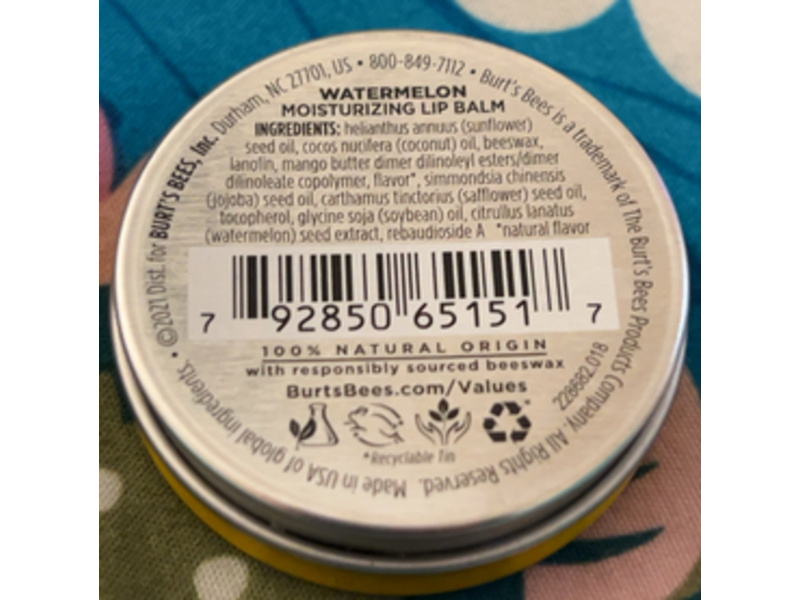 Burt's Bee Moisturizing Lip Balm, Watermelon, 0.3 oz/8.5 g
