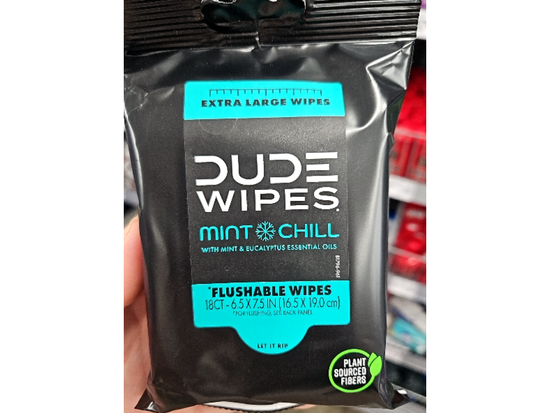 Dude Flushable Wipes, Mint Chill, 18 Count